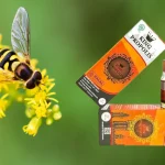 Basu King Propolis