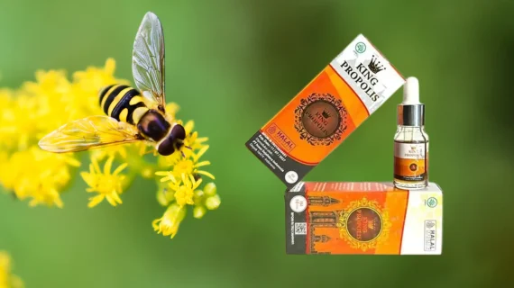 Basu King Propolis